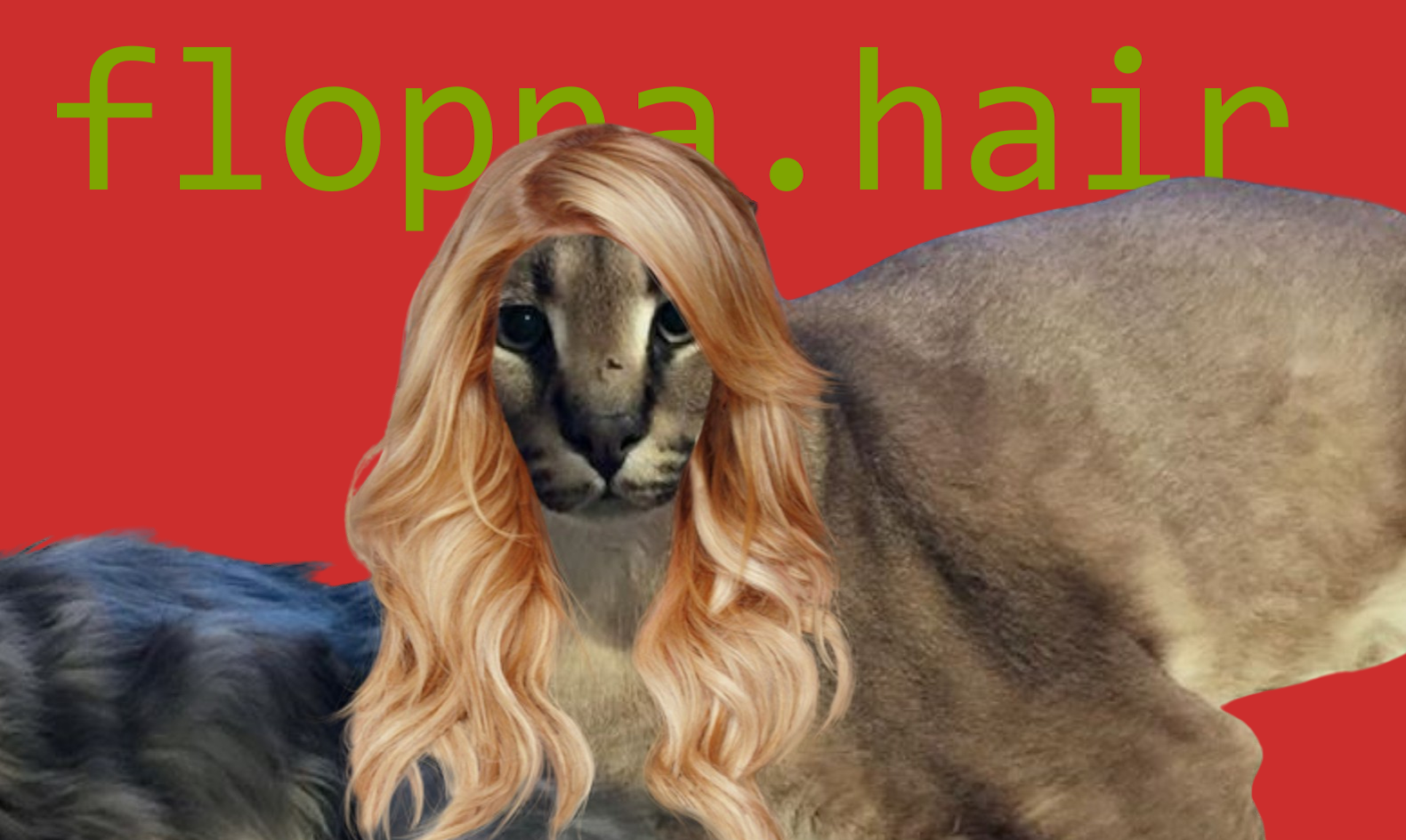 big Floppa with long blonde hair